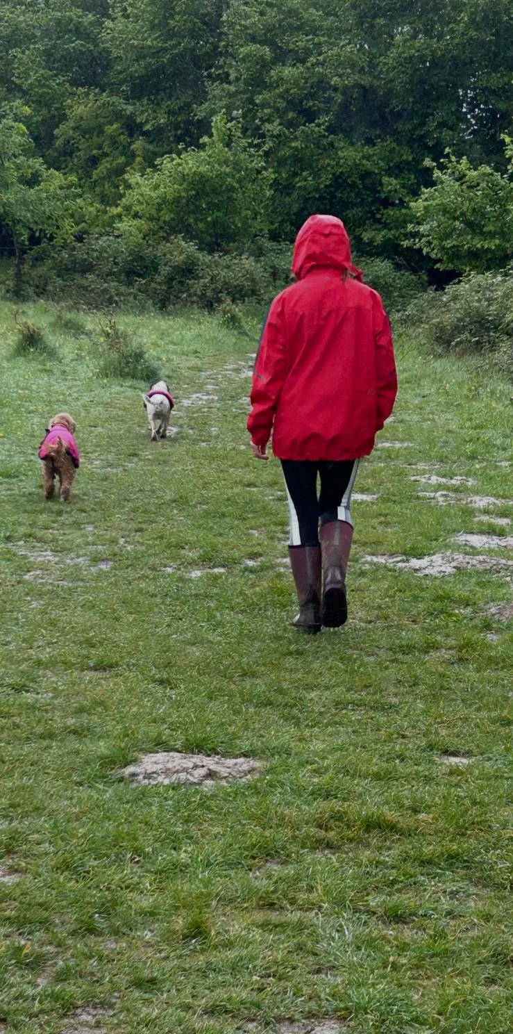 Joanne walking dogs along a woodland path
